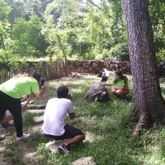alumnos conviviendo con la tortuga