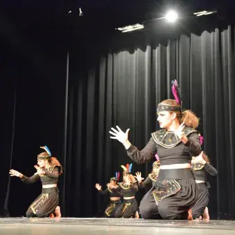 Festival de la cultura y las artes 