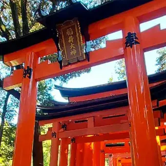 Alumnos de Tec Guadalajara plasman cultura japonesa en arte visual.