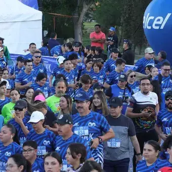 Think Feel Run