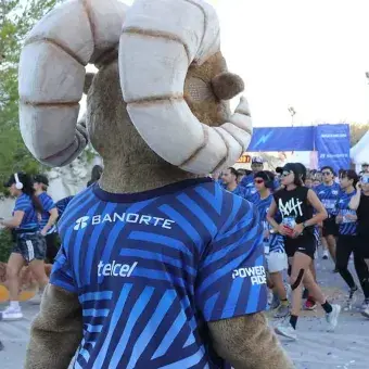 Think Feel Run